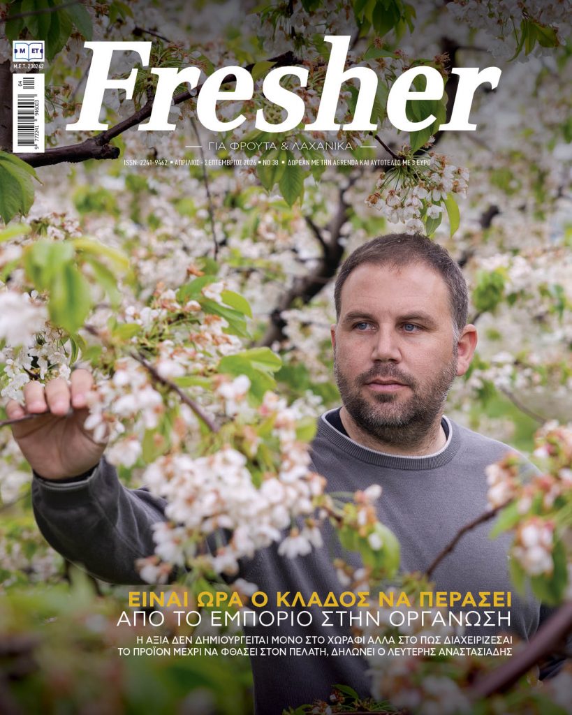 Ο μεγάλος τζίρος δεν μεταφράζεται πάντα σε υψηλή κερδοφορία - Fresher