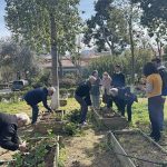 Γηροκομείο Αθηνών: Oταν η φύση γίνεται γέφυρα ζωής • Έλληνας Αγρότης