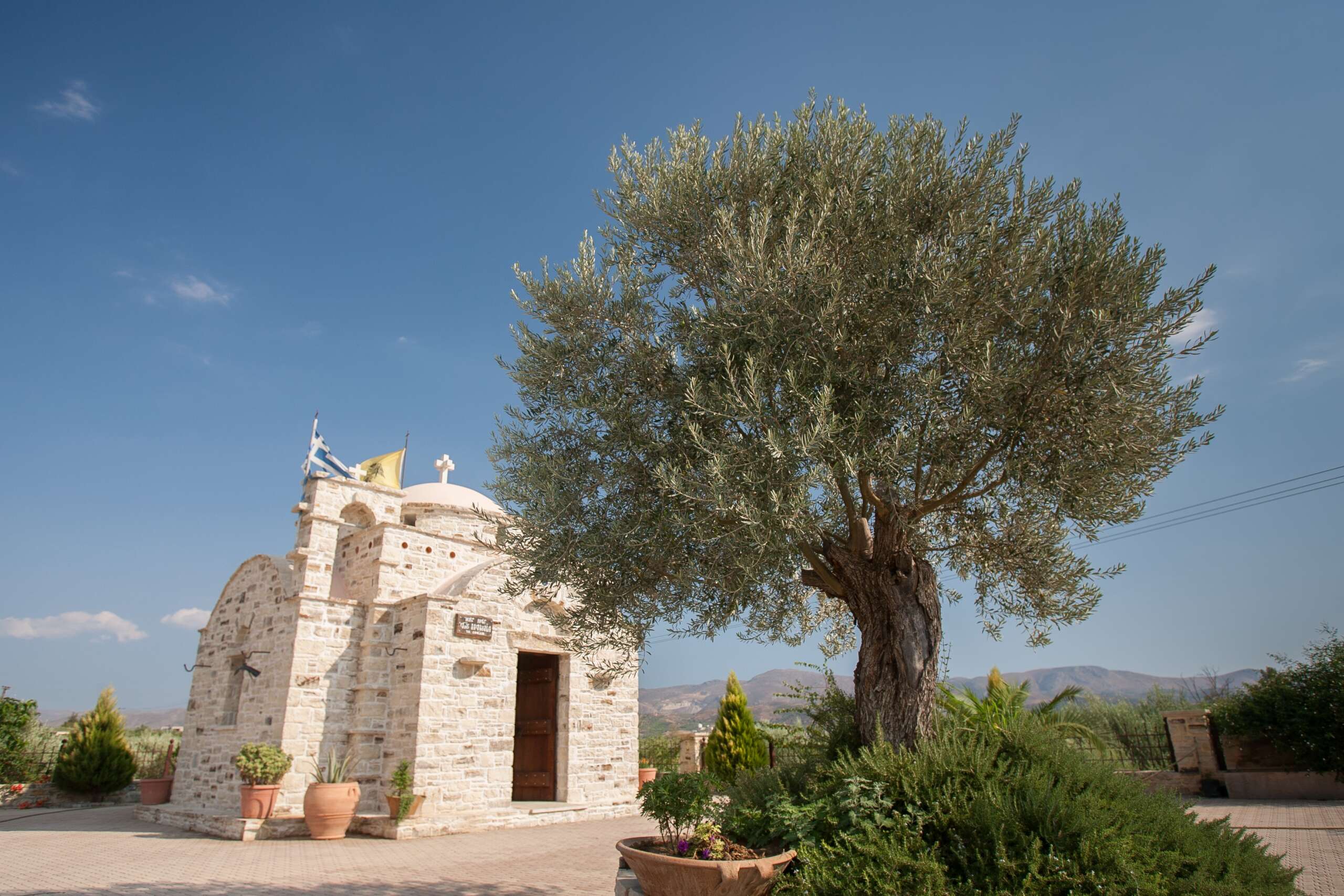 Παρατηρητήριο Τιμών Ελαιολάδου (10/11/2026)