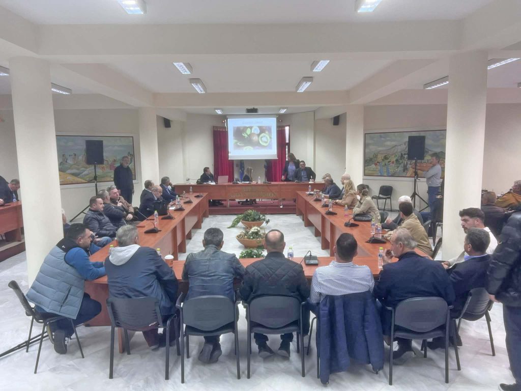 Πιερία: Στο επίκεντρο οι εξαγωγικές δυνατότητες των ακτινιδίων