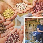 Οι Έλληνες ζητούν σπόρους για να καλλιεργήσουν • Έλληνας Αγρότης