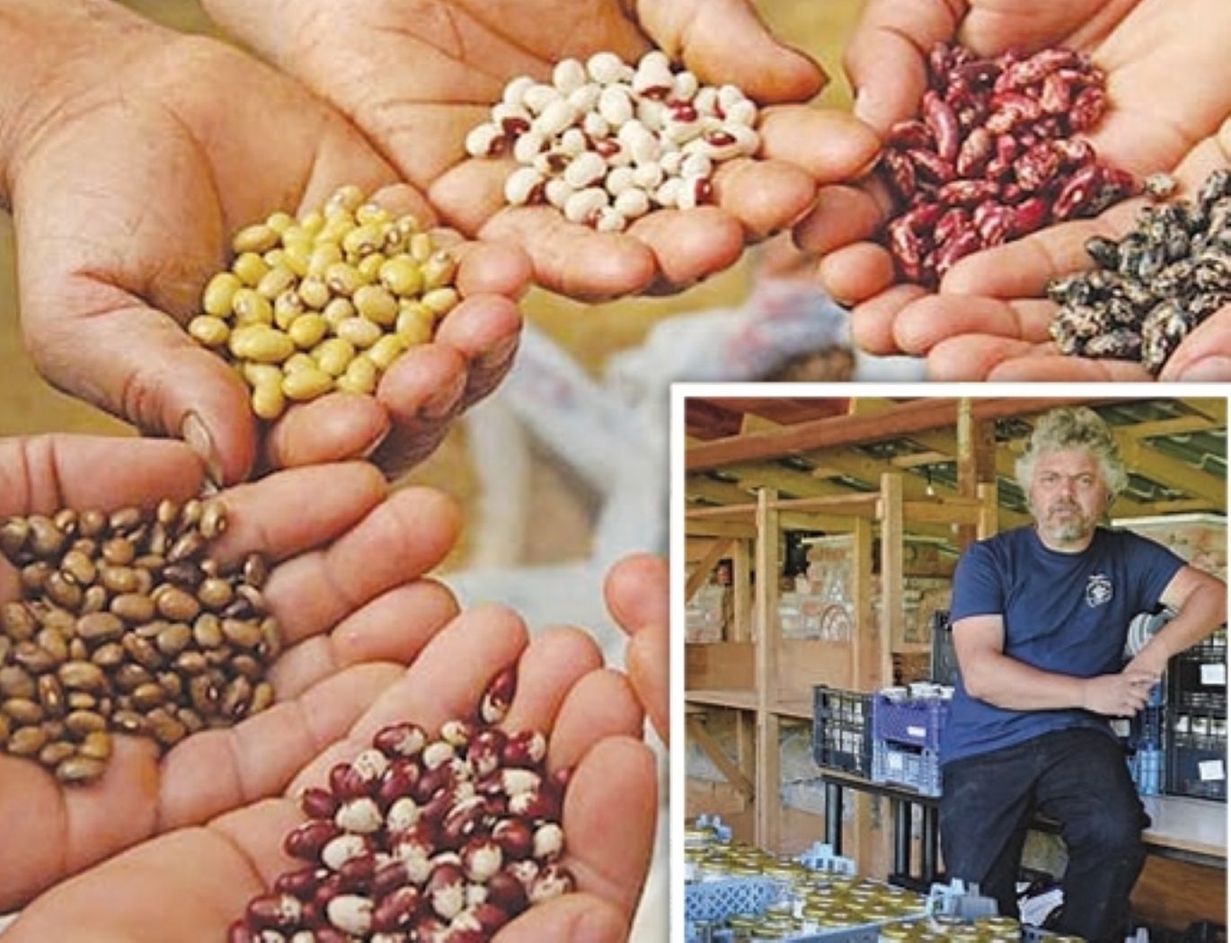 Οι Έλληνες ζητούν σπόρους για να καλλιεργήσουν • Έλληνας Αγρότης