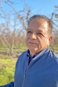 Πλήγμα για τους ροδακινοπαραγωγούς της Καλιφόρνια