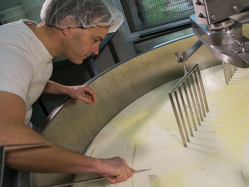 Έγκριση 8 εκατ. ευρώ de minimis για τα τυροκομεία Λέσβου λόγω αφθώδους - Τυροκόμος