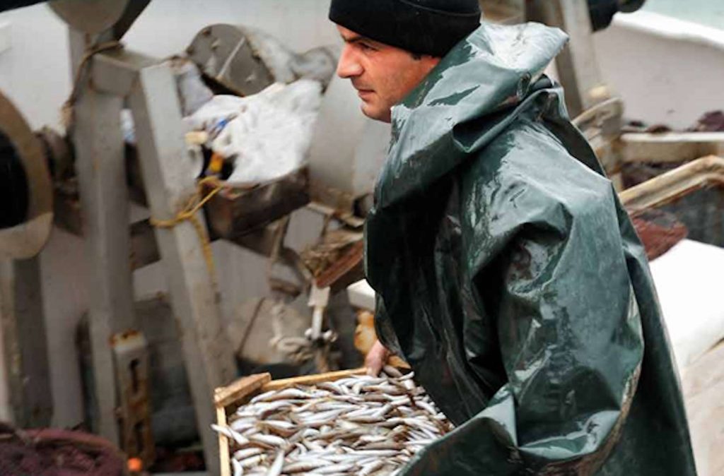 Απαγόρευση αλιείας σε ποταμούς και ρέοντα ύδατα της Κ. Μακεδονίας - Πότε ξεκίνησε • Έλληνας Αγρότης