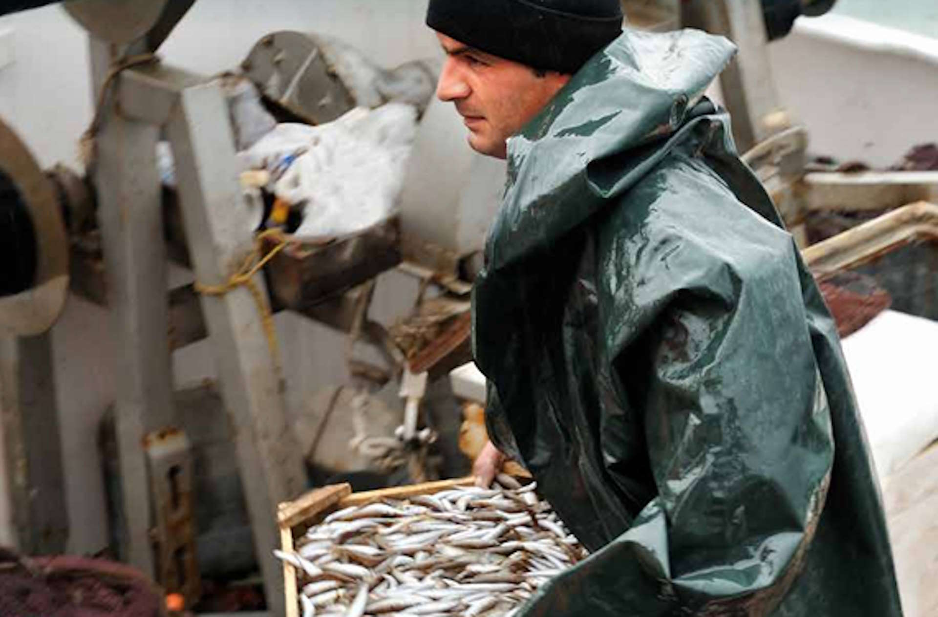 Απαγόρευση αλιείας σε ποταμούς και ρέοντα ύδατα της Κ. Μακεδονίας - Πότε ξεκίνησε • Έλληνας Αγρότης