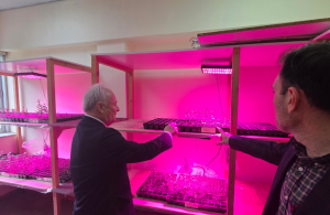 Δίνει λύση στις ανάγκες των παραγωγών το Ινστιτούτο Ελιάς, Υποτροπικών Φυτών και Αμπέλου του ΕΛΓΟ-ΔΗΜΗΤΡΑ στα Χανιά