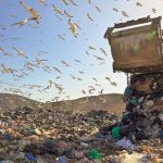 ΕΕ: Νέες οδηγίες για τις συσκευασίες με στόχο λιγότερα απορρίμματα
