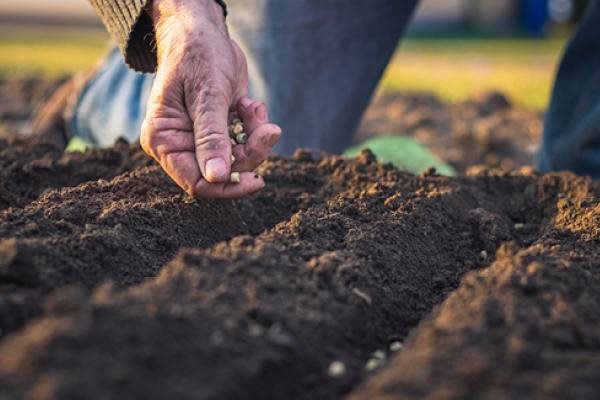 Οι 15 προτάσεις της Κομισιόν για υψηλότερα πράσινα πριμ στην ΚΑΠ μετά το 2027