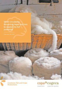 Μαλλί: Από παραμελημένο υποπροϊόν σε πυλώνα της κυκλικής γεωργίας