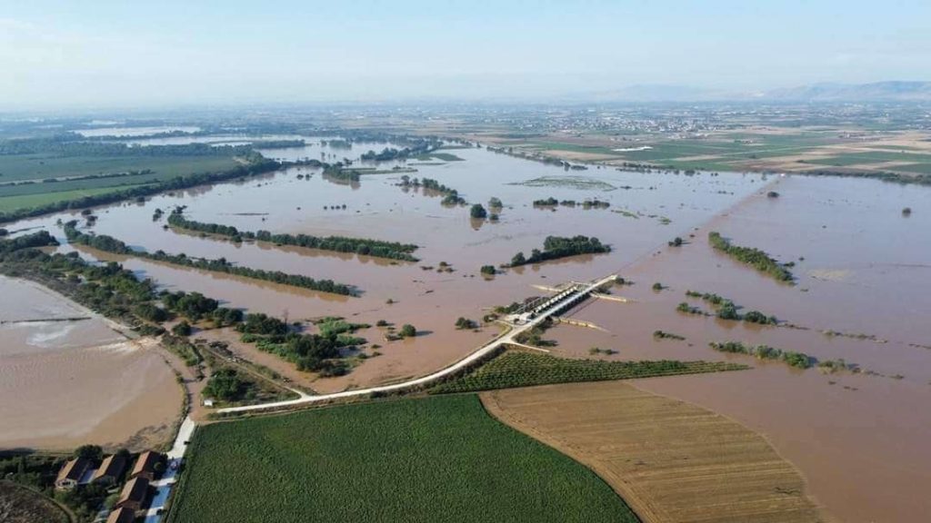 Δρομολογείται η εξόφληση των αποζημιώσεων για το φυτικό κεφάλαιο Daniel