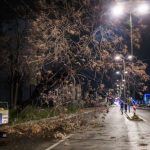Διακοπή κυκλοφορίας στην οδό Πειραιώς από πτώση δέντρου