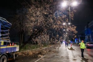 Διακοπή κυκλοφορίας στην οδό Πειραιώς από πτώση δέντρου