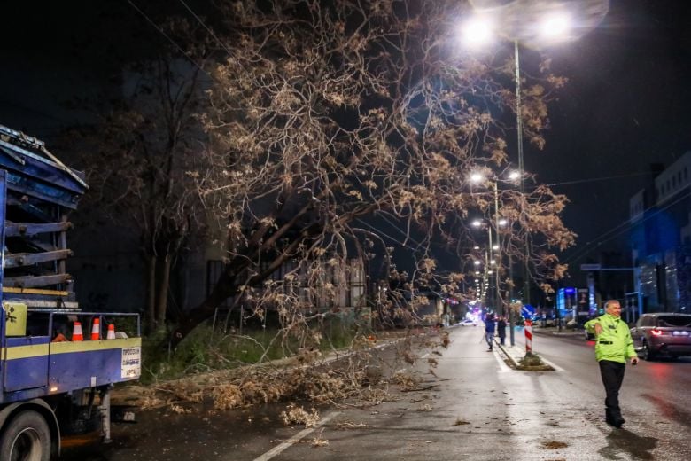Διακοπή κυκλοφορίας στην οδό Πειραιώς από πτώση δέντρου