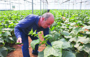 Ν. Τσατσάκης: «Ο πρωτογενής τομέας έχει μεγάλη δυναμική, αλλά θέλει στήριξη» • Έλληνας Αγρότης