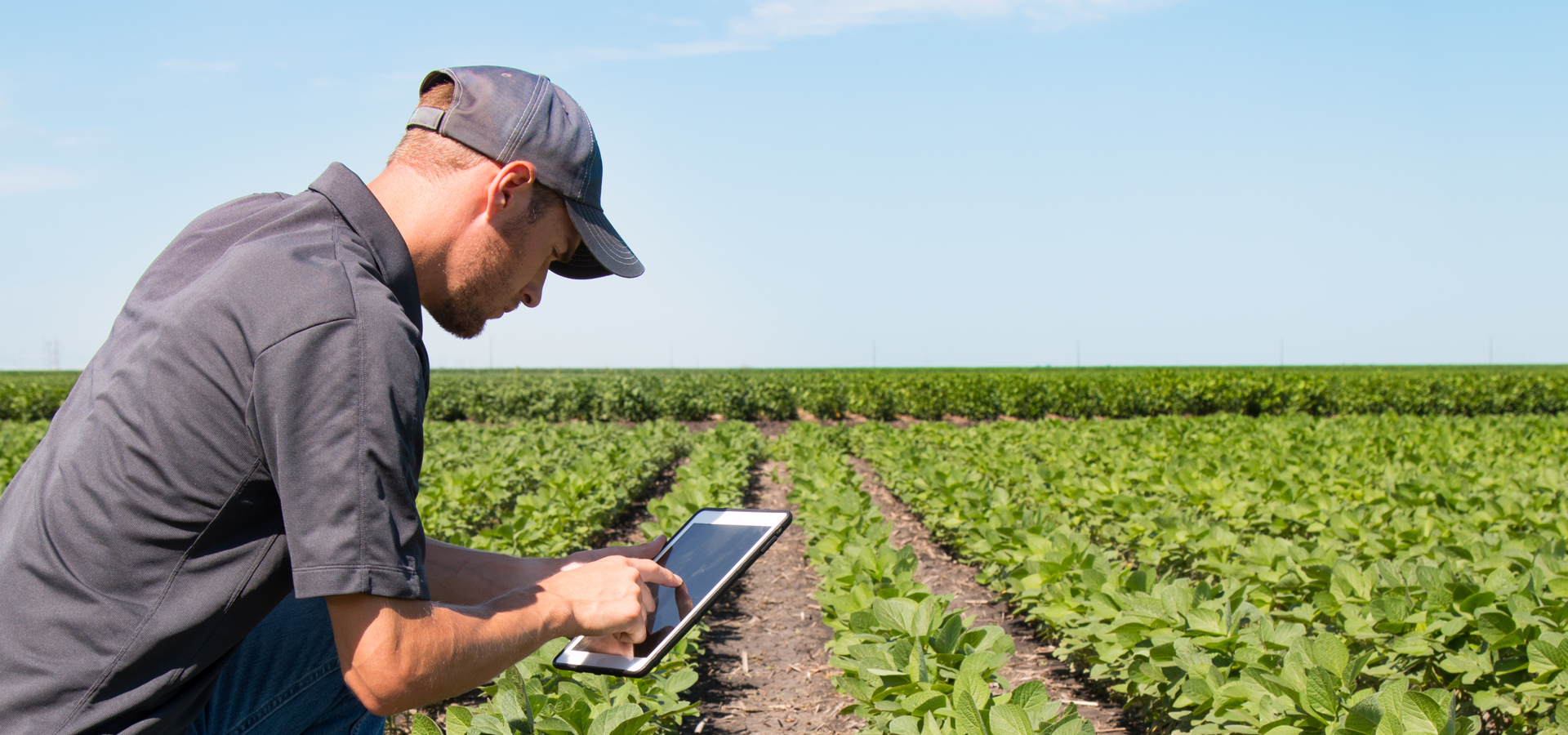 Άνοιξε η πλατφόρμα για την επιστροφή ΦΠΑ σε αγρότες του ειδικού καθεστώτος