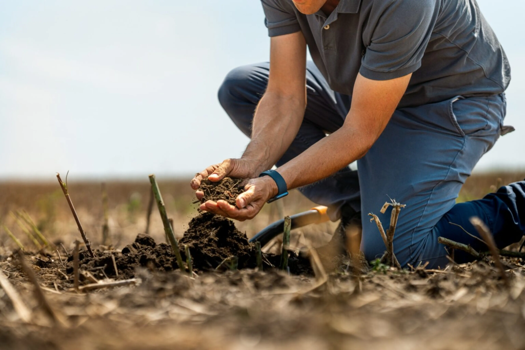 Η Nestlé επεκτείνει την αναγεννητική γεωργία σε Γαλλία, Βέλγιο και Ηνωμένο Βασίλειο