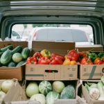 Εγκύκλιος ΑΑΔΕ για δελτίο αποστολής αγροτών στο myDATA