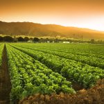 Πρόσκληση Υποβολής Προτάσεων για Δράσεις Προστασίας Περιβάλλοντος και Βιοποικιλότητας στον Αγροτικό Τομέα • Έλληνας Αγρότης