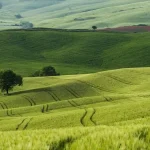 Αυστραλιανή συμμαχία απέναντι σε είδη «εισβολείς» • Έλληνας Αγρότης
