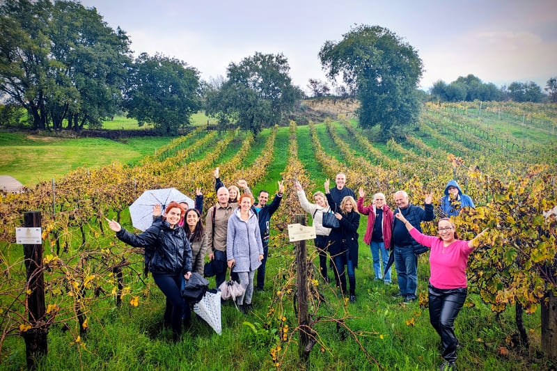 Η στήριξη της εγχώριας αμπελουργίας περνά από την ΚΑΠ και διατοπικά προγράμματα οινοτουρισμού