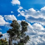 Αίθριος καιρός με λίγες τοπικές νεφώσεις κατά τις απογευματινές ώρες