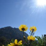 Αίθριος καιρός με άνοδο της θερμοκρασίας σε όλη τη χώρα