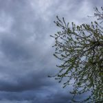 Αυξημένες νεφώσεις και τοπικές βροχές σε όλη τη χώρα