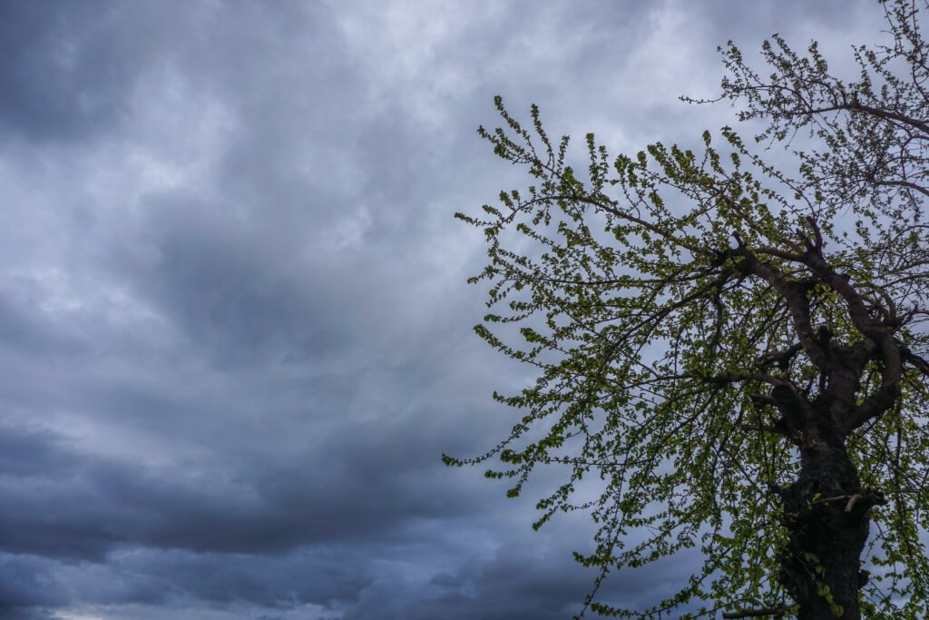 Αυξημένες νεφώσεις και τοπικές βροχές σε όλη τη χώρα