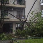 Πτώσεις δέντρων από τους ισχυρούς ανέμους στην Θεσσαλονίκη