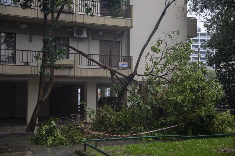 Πτώσεις δέντρων από τους ισχυρούς ανέμους στην Θεσσαλονίκη