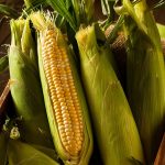 Ανατροπές στις εκτάσεις καλαμποκιού και σόγιας • Έλληνας Αγρότης