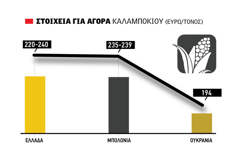 Συντηρούνται φέτος οι τιμές στο καλαμπόκι, έως και 24 λεπτά αγοράζουν οι έμποροι