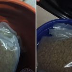 Κατασχέθηκαν περισσότερα από 20 κιλά κάνναβης και πάνω από ένα κιλό κοκαΐνης στην Θεσσαλονίκη