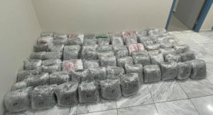 Καστοριά: Ανθρωποκυνηγητό για τη σύλληψη 43χρονου που μετέφερε 76 κιλά κάνναβης