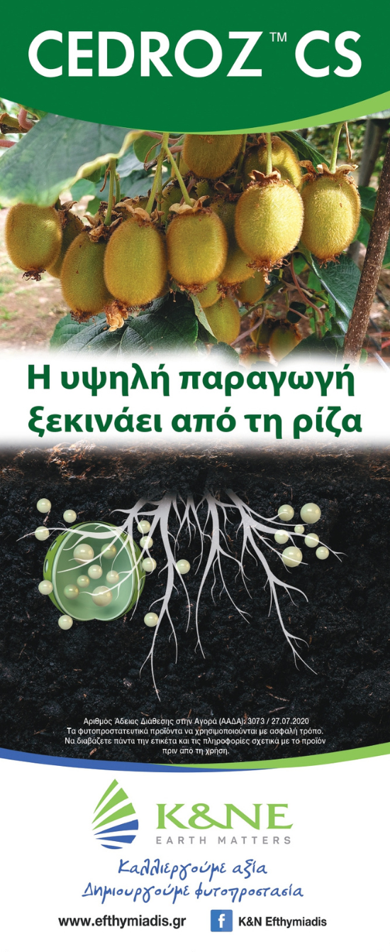 Cedroz: Νέα εποχή στην προστασία του ακτινιδίου µε τεχνολογία Sustaine®