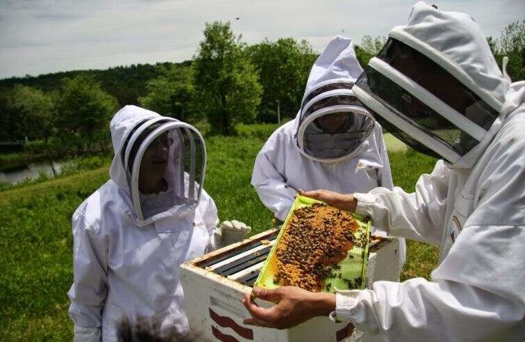 Μέχρι και 30 Μαΐου αιτήσεις πριμ έως 20-30 ευρώ ανά κυψέλη