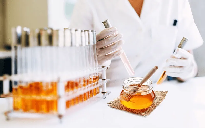 Στο μικροσκόπιο μελέτης του ΑΠΘ οι ενδείξεις υγείας του μελιού