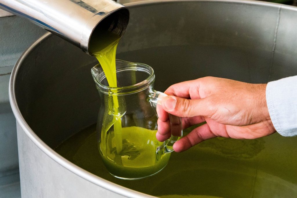 Ελαίας Καρπός