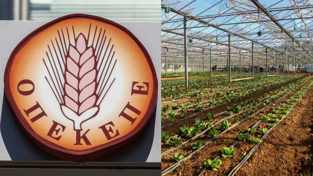 ΟΠΕΚΕΠΕ: Την άρση ασυλίας για 11 βουλευτές ζητά η Ευρωπαϊκή Εισαγγελία – Στη Βουλή η δικογραφία