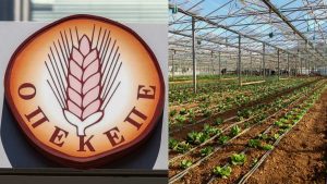 ΟΠΕΚΕΠΕ: Την άρση ασυλίας για 11 βουλευτές ζητά η Ευρωπαϊκή Εισαγγελία – Στη Βουλή η δικογραφία