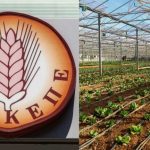 OΠΕΚΕΠΕ: Στη διάθεση των βουλευτών η δικογραφία για τους πρώην υπουργούς