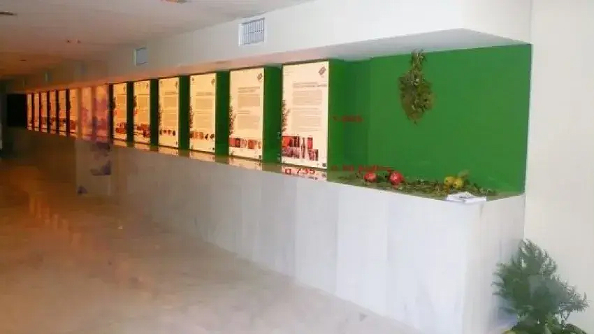 Από το μουσείο στο… θρανίο - Σχολικός χώρος στη Θεσσαλονίκη φιλοξενεί πολιτιστικές εκθέσεις