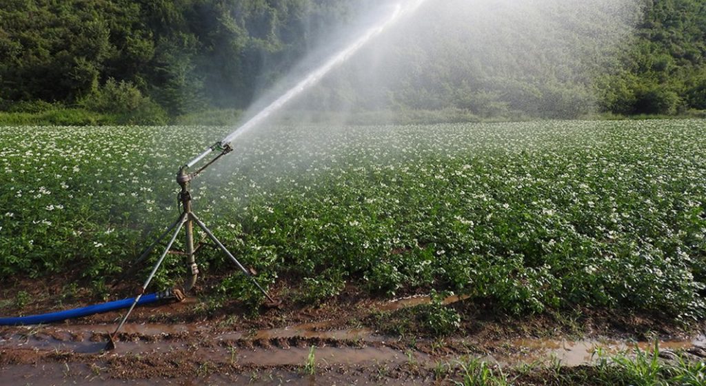 Τράπεζα της Ελλάδας: Πρόβλημα ο μικρός κλήρος και η ηλικία των αγροτών - Κατεύθυνση ενισχύσεων στις επενδύσεις • Έλληνας Αγρότης