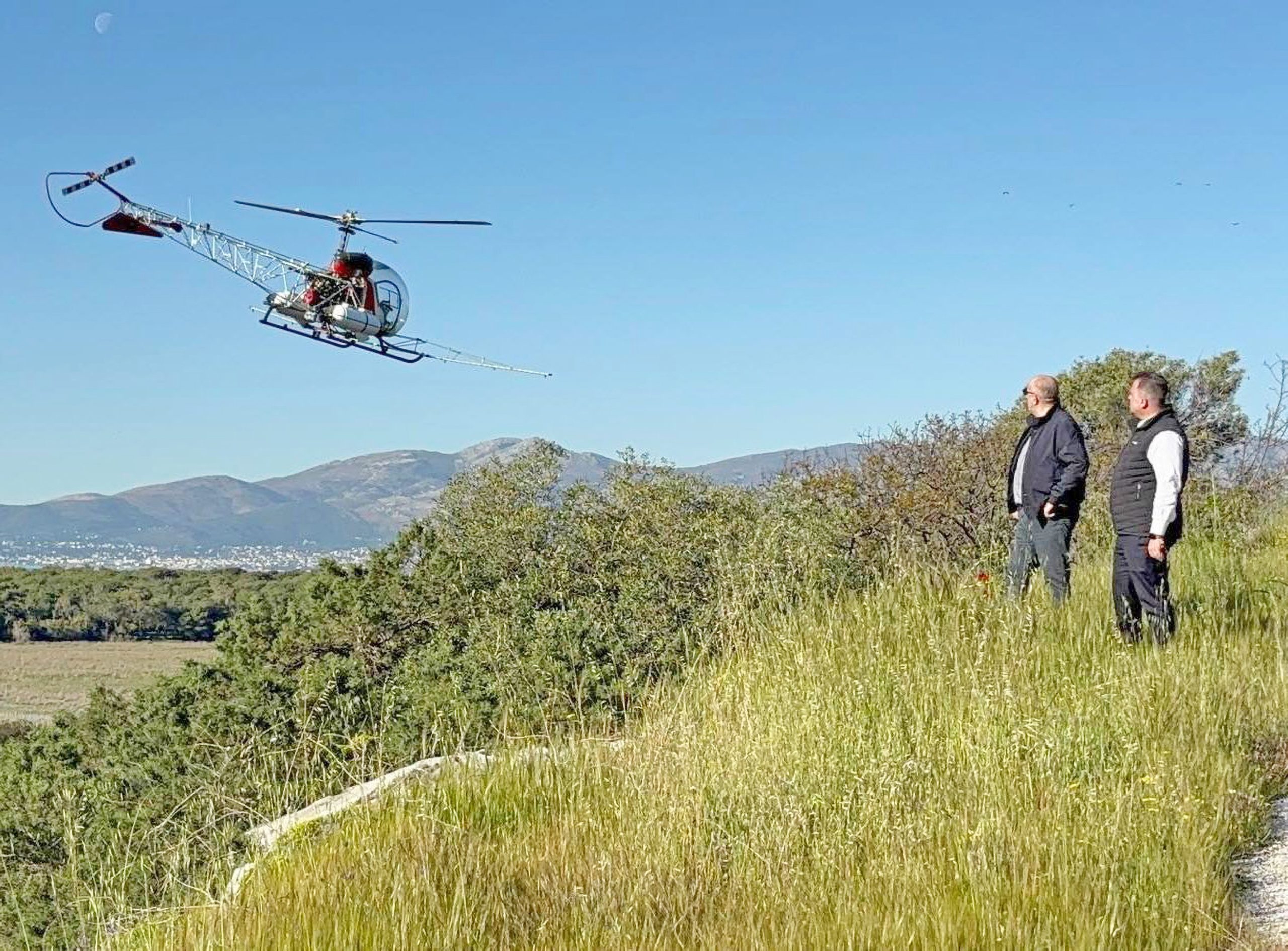 Αττική: Εντατικοί αεροψεκασμοί 4.000 στρεμμάτων στον υδροβιότοπο του Σχινιά