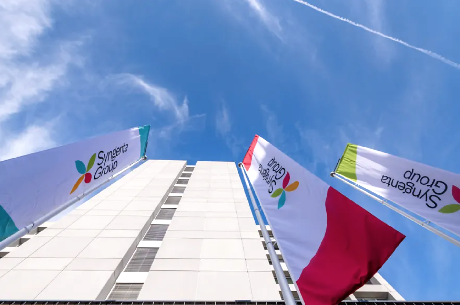 Νέο ζιζανιοκτόνο από τη Syngenta - Πήρε έγκριση στην Αργεντινή