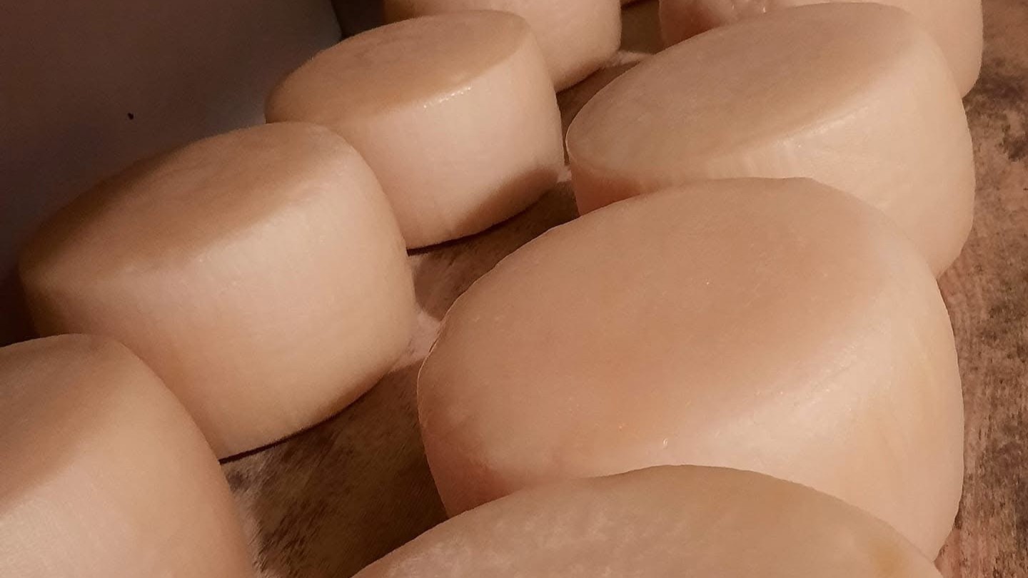 Aνοίγουν τα μεγάλα τυροκομεία της Λέσβου