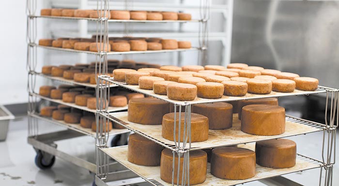 oi-tyrokomikes-epicheiriseis-tis-lesvou-anakoinosan-tin-diakopi-leitourgias-tous-stis-8-apriliou-244549