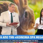 Ανθή Βούλγαρη σε Ιορδάνη Χασαπόπουλο: «Πας φιρί φιρί να χωρίσεις»