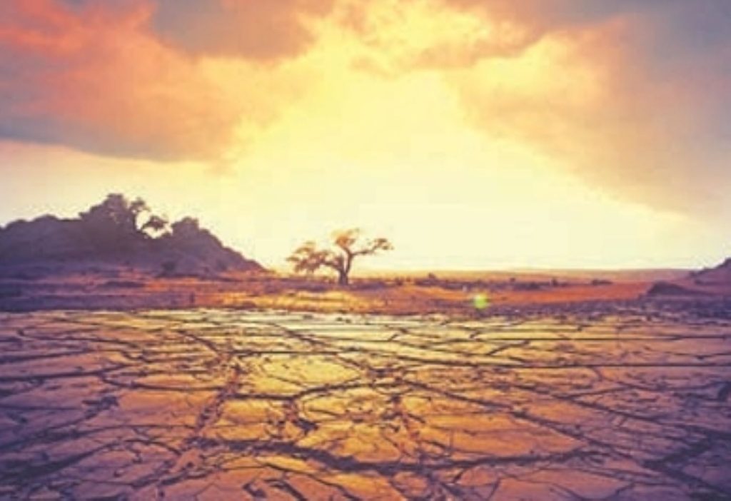 Η ξηρασία φέρνει νέα αντιβιοτικά • Έλληνας Αγρότης